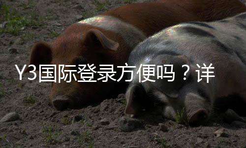 Y3国际登录方便吗？详细登录流程、常见问题及快速解决办法