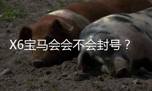 X6宝马会会不会封号？深度解析平台风控与账号安全策略
