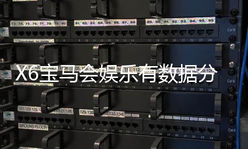 X6宝马会娱乐有数据分析吗？深度解析其数据功能与玩家体验