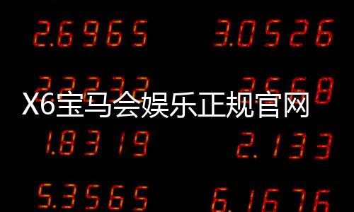 X6宝马会娱乐正规官网：探索高端电子游艺的极致体验