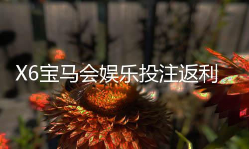 X6宝马会娱乐投注返利高吗？揭秘高返利活动与实战技巧