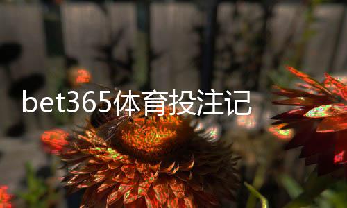 bet365体育投注记录可查吗？如何查看个人投注记录、导出流水与隐私安全全攻略