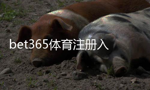 bet365体育注册入口怎么找？新手注册步骤、账户验证与常见问题一站式指南