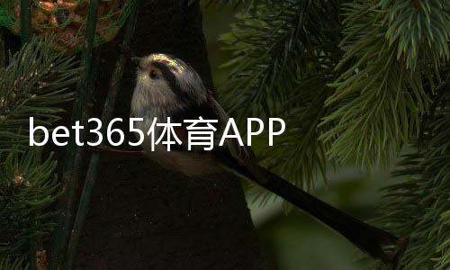 bet365体育APP官方下载通道最新入口：官方下载安装教程与常见问题解答