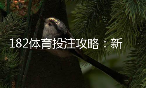 182体育投注攻略：新手入门到进阶技巧与风险控制全指南