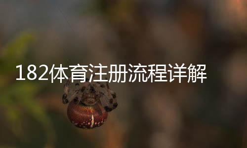 182体育注册流程详解:新手一步步完成开户、实名认证与登录教程
