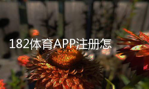 182体育APP注册怎么操作？新手快速开户步骤与常见问题详解