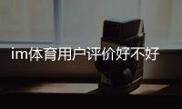im体育用户评价好不好？真实玩家体验分享与深度解析
