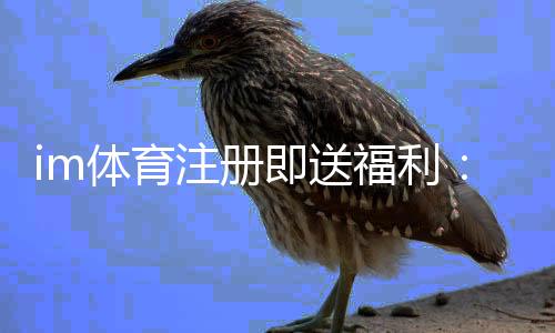im体育注册即送福利：新用户专享豪礼首存即赠彩金！