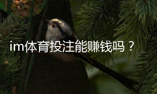 im体育投注能赚钱吗？揭秘稳定盈利的实战技巧与风险规避