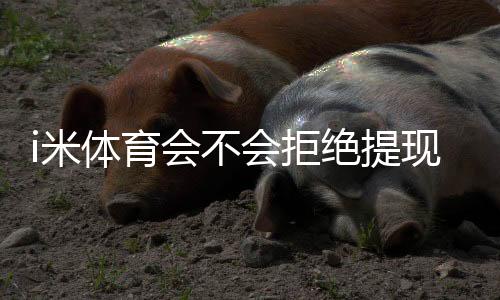 i米体育会不会拒绝提现？深度解析平台提款规则与到账时效