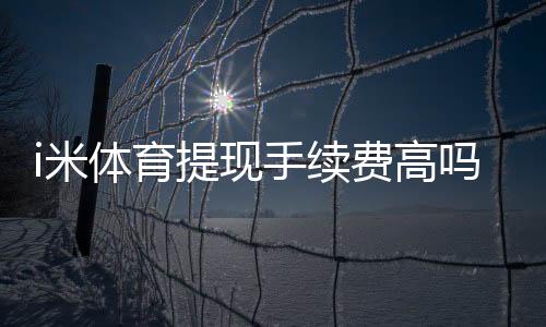 i米体育提现手续费高吗?资深玩家解析费用详情与省费技巧
