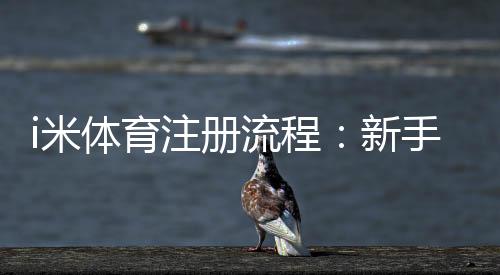 i米体育注册流程：新手3分钟快速开户指南