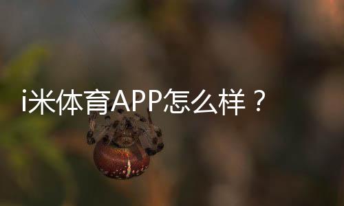 i米体育APP怎么样？功能评测、使用体验与安全性全面解析