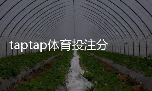 taptap体育投注分析靠谱吗？真实测评、用户口碑与风险防范全解析